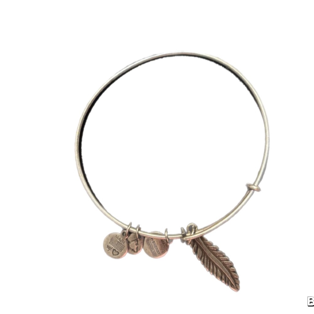 Alex & Ani Silver Bangle Bracelet with Charms